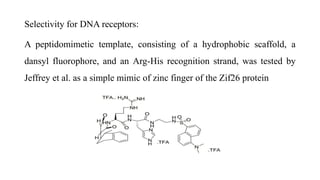 Selectivity for DNA receptors:
A peptidomimetic template, consisting of a hydrophobic scaffold, a
dansyl fluorophore, and an Arg-His recognition strand, was tested by
Jeffrey et al. as a simple mimic of zinc finger of the Zif26 protein
 