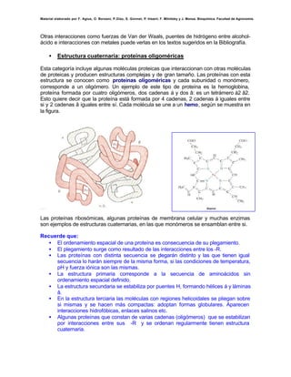 Material elaborado por F. Agius, O. Borsani, P.Díaz, S. Gonnet, P. Irisarri, F. Milnitsky y J. Monza. Bioquímica. Facultad de Agronomía.




Otras interacciones como fuerzas de Van der Waals, puentes de hidrógeno entre alcohol-
ácido e interacciones con metales puede verlas en los textos sugeridos en la Bibliografía.

     •    Estructura cuaternaria: proteínas oligoméricas

Esta categoría incluye algunas moléculas proteicas que interaccionan con otras moléculas
de proteicas y producen estructuras complejas y de gran tamaño. Las proteínas con esta
estructura se conocen como proteínas oligoméricas y cada subunidad o monómero,
corresponde a un oligómero. Un ejemplo de este tipo de proteína es la hemoglobina,
proteína formada por cuatro oligómeros, dos cadenas á y dos â: es un tetrámero á2 â2.
Esto quiere decir que la proteína está formada por 4 cadenas, 2 cadenas á iguales entre
si y 2 cadenas â iguales entre sí. Cada molécula se une a un hemo, según se muestra en
la figura.




Las proteínas ribosómicas, algunas proteínas de membrana celular y muchas enzimas
son ejemplos de estructuras cuaternarias, en las que monómeros se ensamblan entre si.

Recuerde que:
   • El ordenamiento espacial de una proteína es consecuencia de su plegamiento.
   • El plegamiento surge como resultado de las interacciones entre los -R.
   • Las proteínas con distinta secuencia se p    legarán distinto y las que tienen igual
     secuencia lo harán siempre de la misma forma, si las condiciones de temperatura,
     pH y fuerza iónica son las mismas.
   • La estructura primaria corresponde a la secuencia de aminoácidos sin
     ordenamiento espacial definido.
   • La estructura secundaria se estabiliza por puentes H, formando hélices á y láminas
     â.
   • En la estructura terciaria las moléculas con regiones helicoidales se pliegan sobre
     si mismas y se hacen más compactas: adoptan formas globulares. Aparecen
     interacciones hidrofóbicas, enlaces salinos etc.
   • Algunas proteínas que constan de varias cadenas (oligómeros) que se estabilizan
     por interacciones entre sus -R y se ordenan regularmente tienen estructura
     cuaternaria.
 