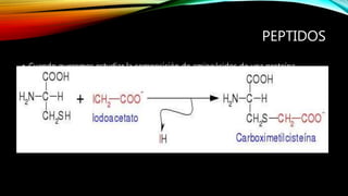 PEPTIDOS
• Cuando queremos estudiar la composición de aminoácidos de una proteína
tenemos que hidrolizarla completamente, con lo que tenemos una mezcla de todo
el conjunto de aminoácidos libres que constituyen dicha proteína.
• Para evitar, en toda esta manipulación, que las Cys que tengamos en el medio se
oxiden, tenemos que proteger su grupo tiólico añadiendo como reactivo
iodoacetato:
 