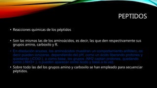 PEPTIDOS
• Reacciones químicas de los péptidos
• Son las mismas las de los aminoácidos, es decir, las que den respectivamente sus
grupos amino, carboxilo y R.
• En disolución acuosa, los aminoácidos muestran un comportamiento anfótero, es
decir pueden ionizarse, dependiendo del pH, como un ácido liberando protones y
quedando (-COO-), o como base, los grupos -NH2 captan protones, quedando
como (-NH3+ ), o pueden aparecer como ácido y base a la vez.
• Sobre todo las del los grupos amino y carboxilo se han empleado para secuenciar
péptidos.
 