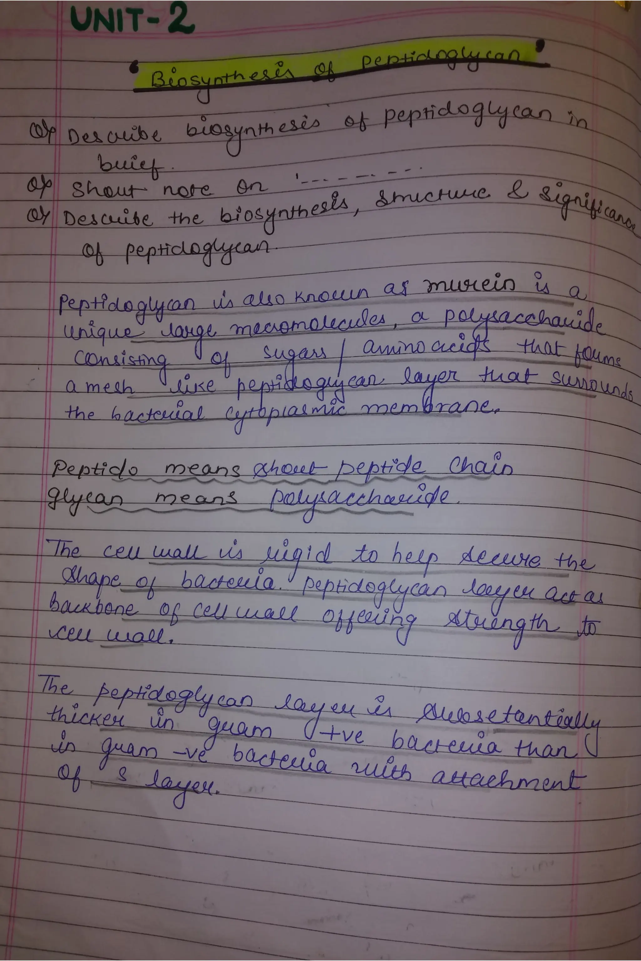 Peptidoglycan, Teichoic acid,LipopolysaccharideS.pdf