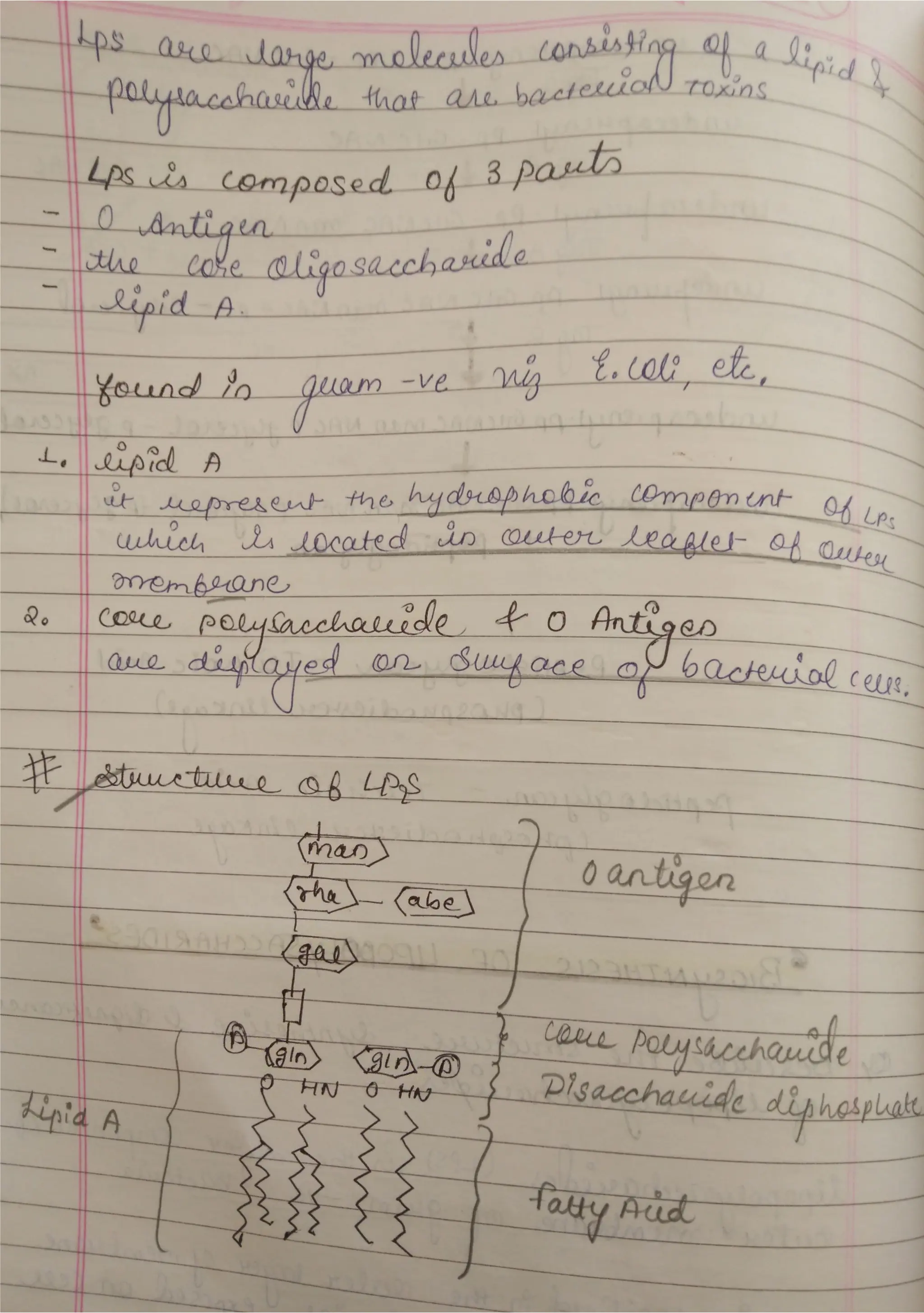 Peptidoglycan, Teichoic acid,LipopolysaccharideS.pdf