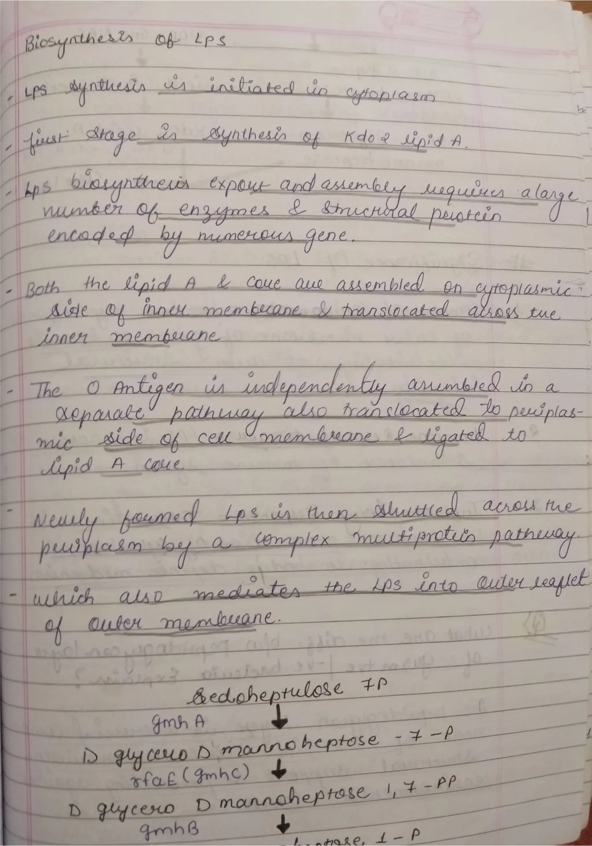 Peptidoglycan, Teichoic acid,LipopolysaccharideS.pdf