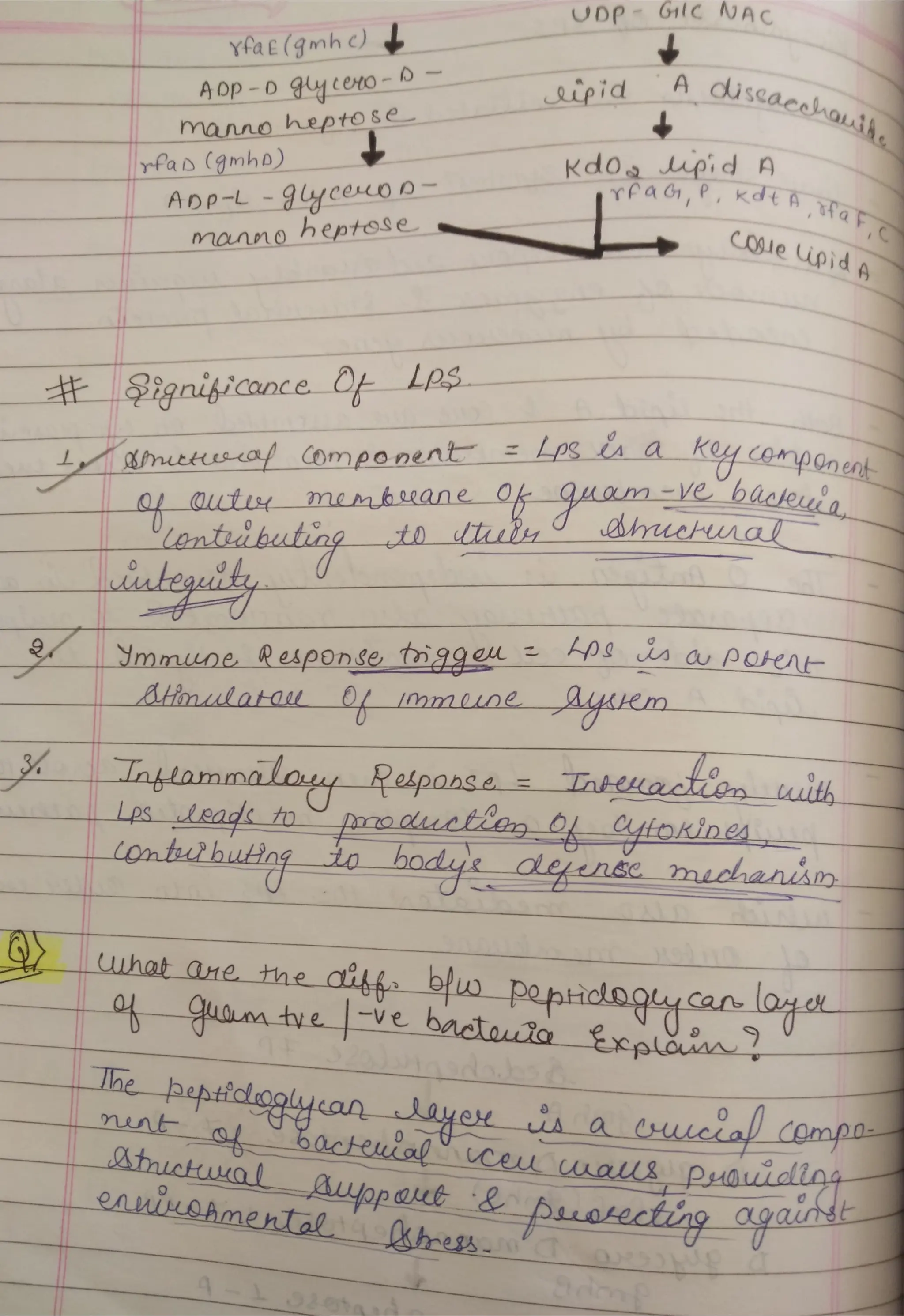 Peptidoglycan, Teichoic acid,LipopolysaccharideS.pdf