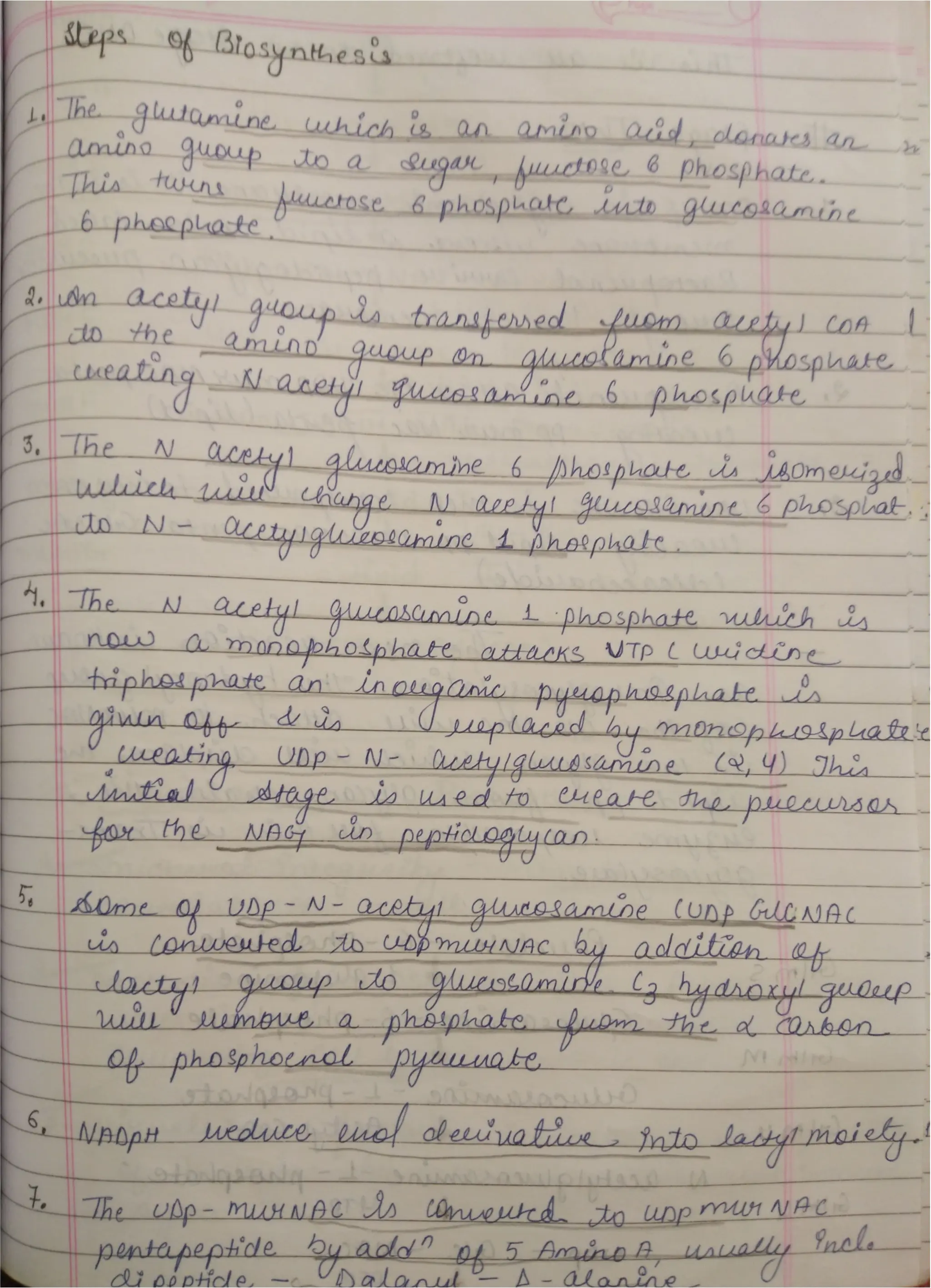 Peptidoglycan, Teichoic acid,LipopolysaccharideS.pdf