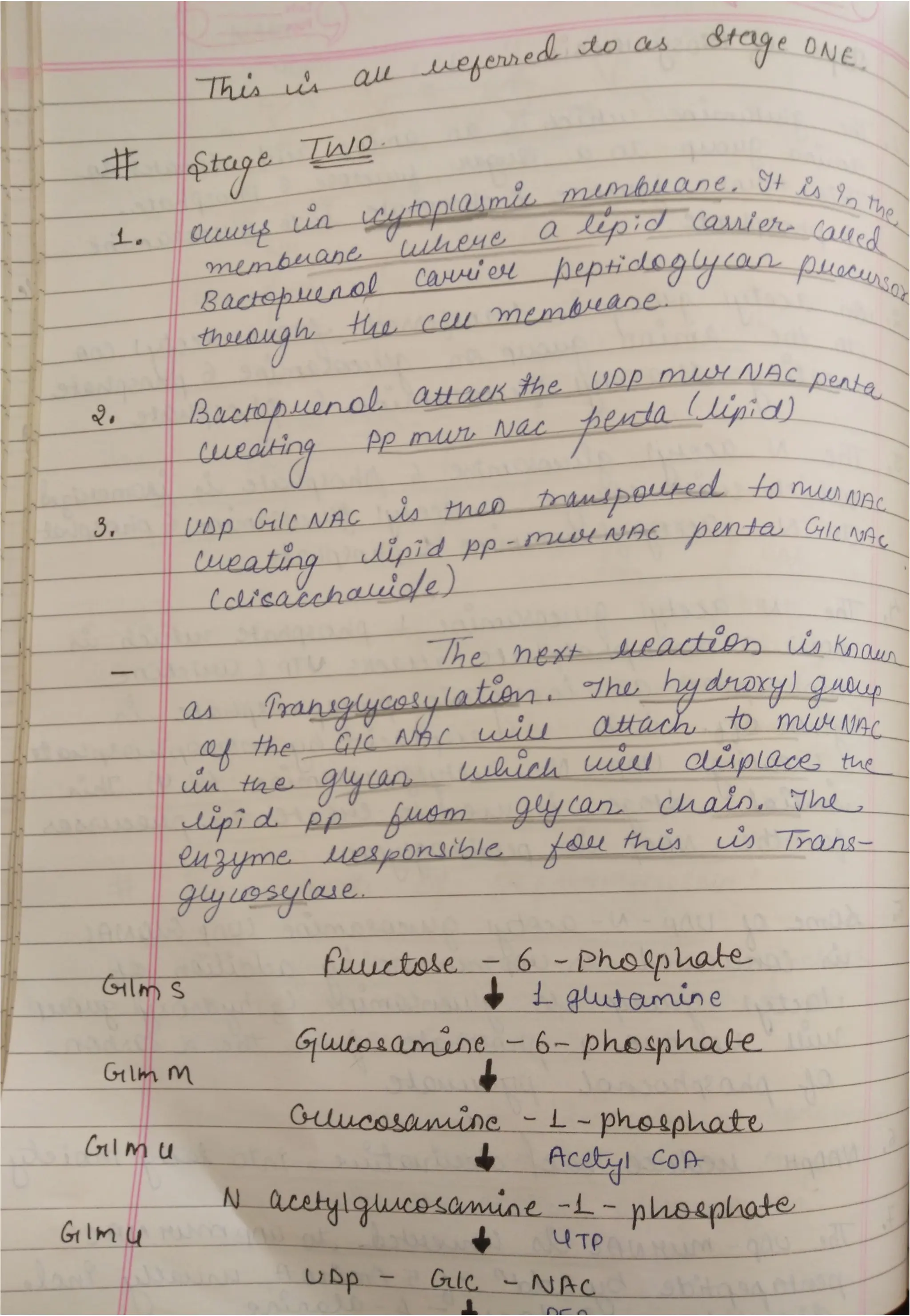 Peptidoglycan, Teichoic acid,LipopolysaccharideS.pdf
