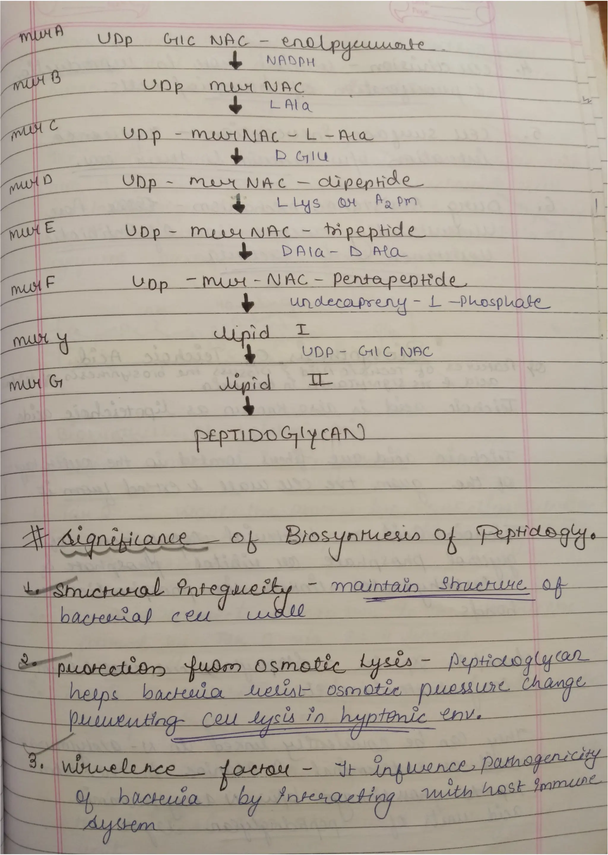 Peptidoglycan, Teichoic acid,LipopolysaccharideS.pdf