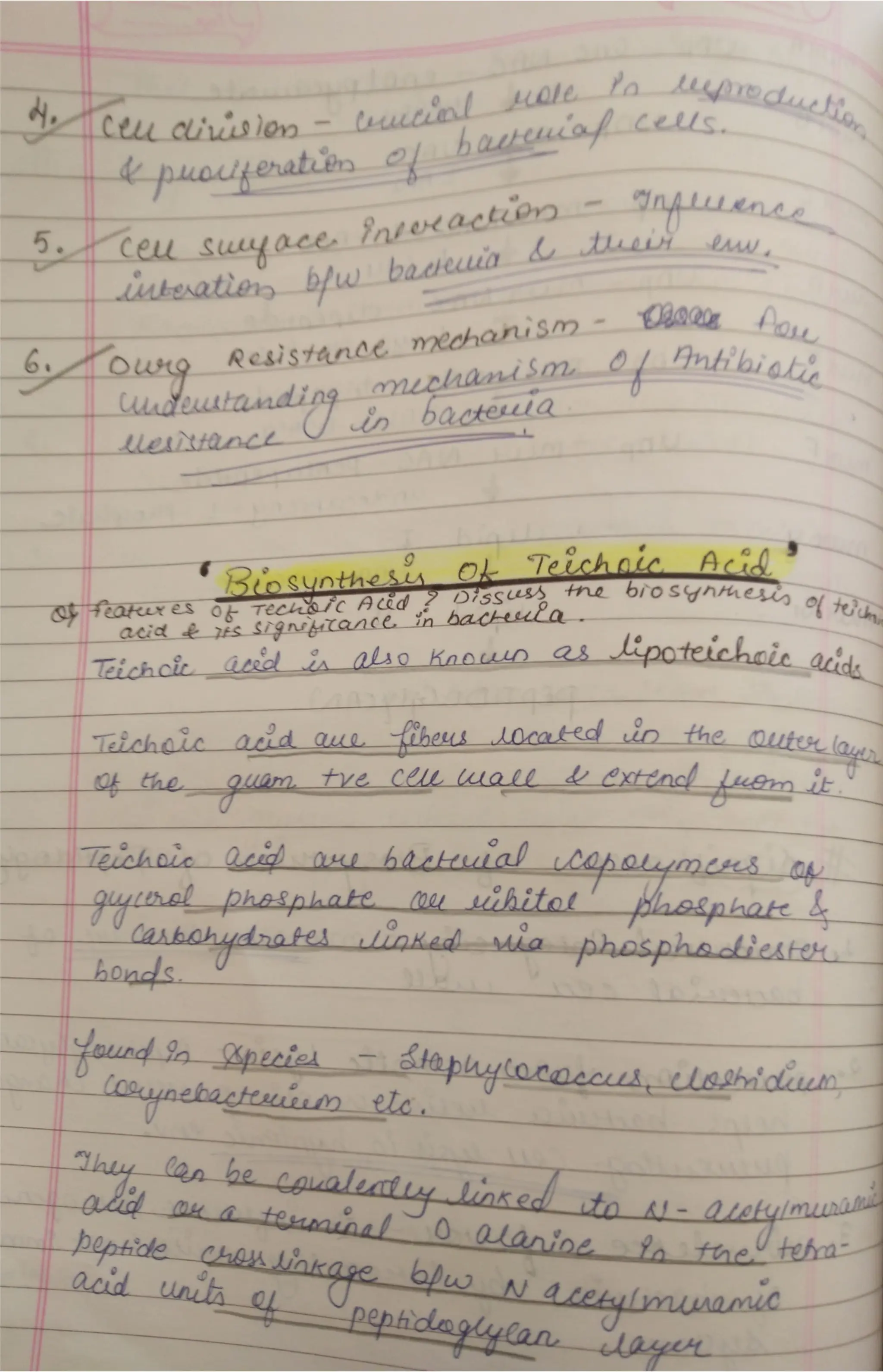 Peptidoglycan, Teichoic acid,LipopolysaccharideS.pdf