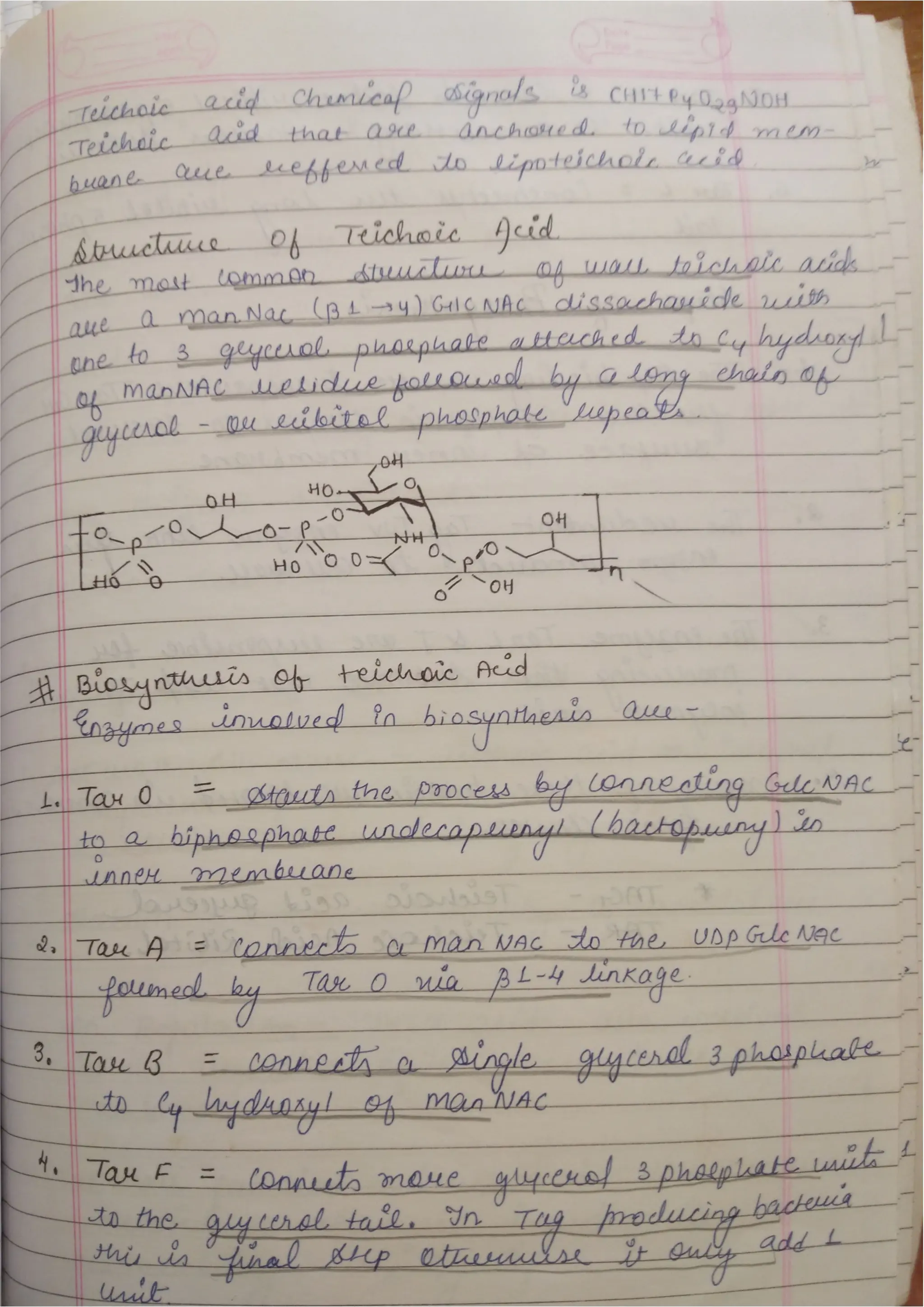Peptidoglycan, Teichoic acid,LipopolysaccharideS.pdf