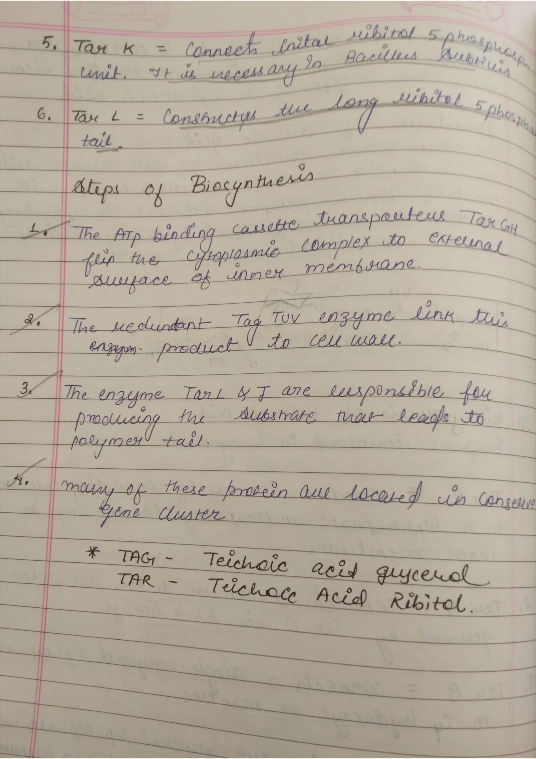 Peptidoglycan, Teichoic acid,LipopolysaccharideS.pdf