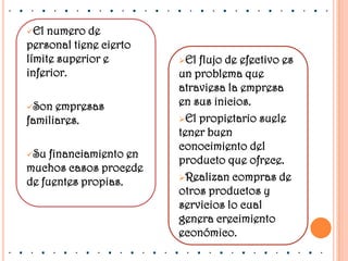 Requerimiento de una mayor organización que la microempresa.Capacidad para abarcar el mercado local, regional y nacional.