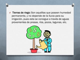 O Tierras de riego: Son aquéllas que poseen humedad

permanente, y no depende de la lluvia para su
irrigación, pues esta se consigue a través de aguas
provenientes de presas, ríos, pozos, lagunas, etc.

 
