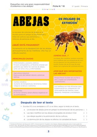 3
5.° grado | Primaria
Pequeñas con una gran responsabilidad
¡Cuidemos a las abejas! Ficha N.° 10
1. Tomado de Ministerio de Educación (2017). Comunicación 6. [Cuaderno de trabajo]. Material elaborado para el sexto grado de
primaria. Perú. Recuperado de https://repositorio.minedu.gob.pe/bitstream/handle/20.500.12799/5982/Comunicaci%c3%b3n%206%20
cuaderno%20de%20trabajo%20para%20sexto%20grado%20de%20Educaci%c3%b3n%20Primaria%202018.pdf?sequence=1&isAllowed=y
• Escribe (V) si es verdadero o (F) si es falso, según lo leído en el texto.
a. La escasez de abejas pone en peligro la alimentación de las personas. ( )
b. Las Apis mellifera son las abejas encargadas de producir miel. ( )
c. Las abejas ayudan a la polinización de los cultivos. ( )
d. La disminución de las abejas no afecta a la variedad de fauna. ( )
EN PELIGRO DE
EXTINCIÓN1
La escasez de colonias de abejas en el
mundo pone en peligro la biodiversidad y
miles de cultivos que alimentan a
millones de personas al día.
Incremento en la desaparición de las abejas,
principalmente de las melíferas. (No hay un
cálculo exacto).
Las abejas Apis melliferas, también conocidas
como melíferas (por ser productoras de miel),
son las especies con más distribución en el
mundo. Existen más de 20 razas de estas
abejas. Son originarias del continente africano.
¿QUÉ ESTÁ PASANDO?
PRINCIPALES CAUSAS
¿SABÍAS QUE...?
¿POR QUÉ SON IMPORTANTES
LAS ABEJAS?
Enfermedades y parásitos dañinos
El ácaro ectoparásito y el Nosema ceranae son
parásitos que dañan las colonias de abejas,
junto con otros virus y enfermedades.
Agricultura industrial
Destrucción del hábitat natural y prácticas
dañinas
Cambio climático
Aumento de temperaturas, fenómenos meteo-
rológicos erráticos o extremos
Insecticidas
En forma rutinaria, tienen efectos negativos en
los polinizadores.
Porque llevan el polen de una flor a
otra y logran así la fertilización
(polinización).
Las melíferas son más eficientes para
la polinización en comparación con
otras especies de insectos, como
abejorros, mariposas y escarabajos.
Después de leer el texto
 
