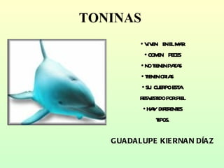 TONINAS VIVEN  EN EL MAR COMEN  PECES NO TIENEN PATAS  TIENEN CRIAS  SU  CUERPO ESTA  RESVESTIDO POR PIEL HAY  DIFERENTES TIPOS. GUADALUPE KIERNAN DÍAZ 