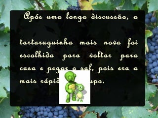   Após uma longa discussão, a  tartaruguinha mais nova foi escolhida para voltar para casa e pegar o sal, pois era a mais rápida do grupo. 