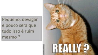 Pequeno, devagar e pouco sera que tudo isso é ruim mesmo ?  