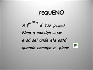 A  é  tão  p e q u e n a ! Nem a consigo  a v i s t a r e só sei onde ela está quando começa a  picar. P E Q U E N O 