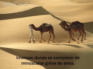 Imensas dunas se compõem de minúsculos grãos de areia. 