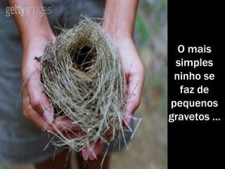 O mais simples ninho se faz de pequenos gravetos ... 