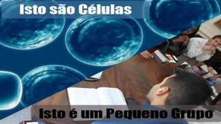 Projeto de Pequenos Grupos - IBS