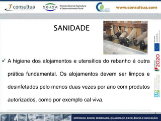  A higiene dos alojamentos e utensílios do rebanho é outra
prática fundamental. Os alojamentos devem ser limpos e
desinfetados pelo menos duas vezes por ano com produtos
autorizados, como por exemplo cal viva.
SANIDADE
 