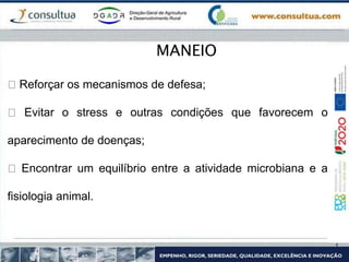 Reforçar os mecanismos de defesa;
Evitar o stress e outras condições que favorecem o
aparecimento de doenças;
Encontrar um equilíbrio entre a atividade microbiana e a
fisiologia animal.
MANEIO
 