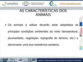  Os animais a utilizar deverão estar adaptados às
principais condições ambientais do meio (temperatura,
pluviosidade, vegetação, topografia do terreno, etc.) e
demonstrar uma boa resistência sanitária.
AS CARACTERÍSTICAS DOS
ANIMAIS
 