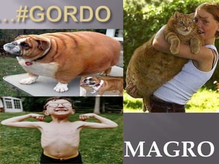 MAGRO
 
