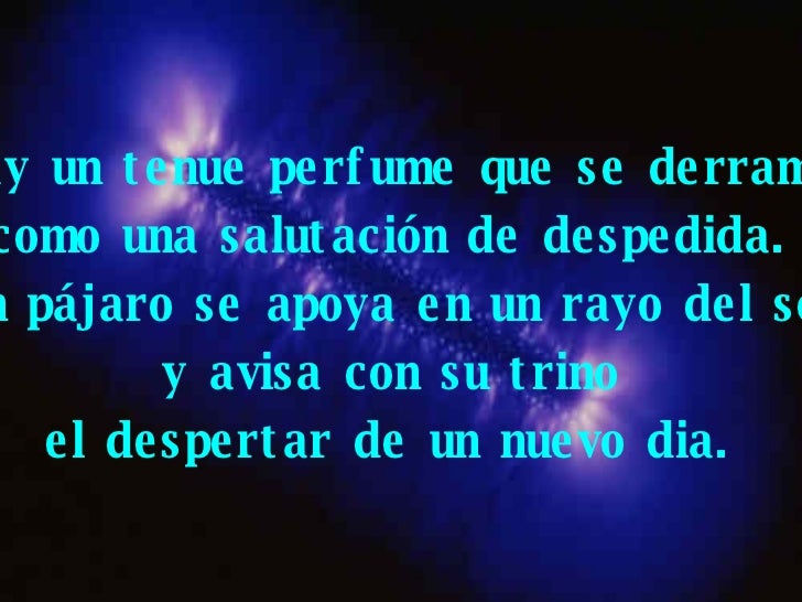 Pequeño Poema En Prosa