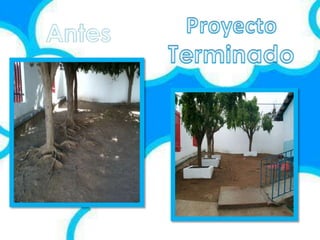 Pequeños cuidando el planeta