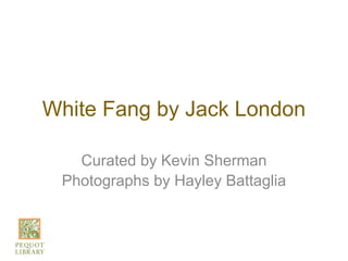 White Fang by Jack London

   Curated by Kevin Sherman
 Photographs by Hayley Battaglia
 