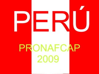PRONAFCAP 2009  P ER Ú 