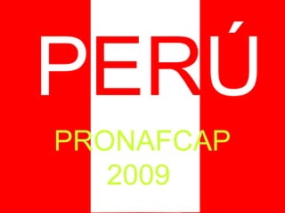 PRONAFCAP
2009
PERÚ
 