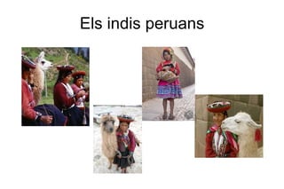 Els indis peruans 