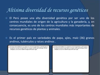 Altísima diversidad de recursos genéticos
   El Perú posee una alta diversidad genética por ser uno de los
    centros mundiales de origen de la agricultura y la ganadería, y, en
    consecuencia, es uno de los centros mundiales más importantes de
    recursos genéticos de plantas y animales.

   Es el primer país en variedades de papa, ajíes, maíz (36) granos
    andinos, tubérculos y raíces andinos .
 