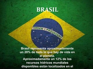 BRASIL




 Brasil representa aproximadamente
un 20% de todo lo que hay de vida en
              el planeta.
  Aproximadamente un 12% de los
    recursos hídricos mundiales
 disponibles están localizados en el
 