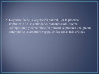 • Degradación de la vegetación natural, Por la práctica
imprudente de las actividades humanas (tala, quema,
sobrepastoreo y contaminación minera) se produce una gradual
deterioro de la cobertura vegetal en las zonas más críticas
 