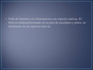 • Falta de fomento a la reforestación con especies nativas, El
Perú se estátransformando en un país de eucaliptos y pinos, en
detrimento de las especies nativas
 