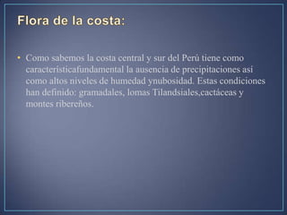 • Como sabemos la costa central y sur del Perú tiene como
característicafundamental la ausencia de precipitaciones así
como altos niveles de humedad ynubosidad. Estas condiciones
han definido: gramadales, lomas Tilandsiales,cactáceas y
montes ribereños.
 
