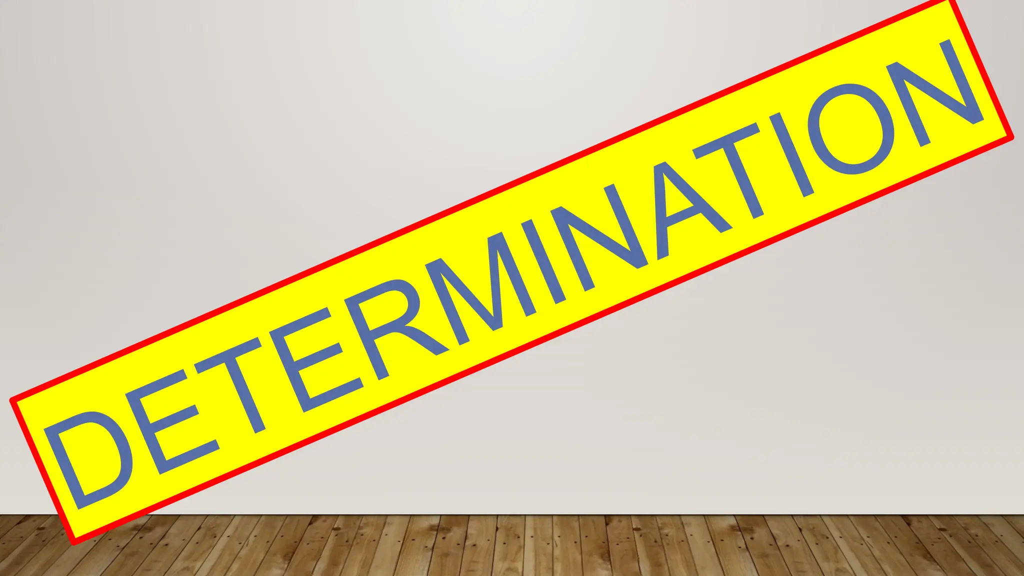 DETERMINATION
 