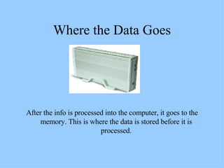Where the Data Goes After the info is processed into the computer, it goes to the memory. This is where the data is stored before it is processed. 