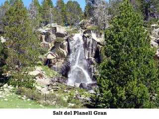 Salt del Planell Gran