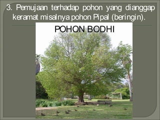 3. Pemujaan terhadap pohon yang dianggap
keramat misalnyapohon Pipal (beringin).
POHON BODHI
 