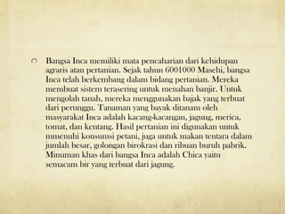 ! Bangsa Inca memiliki mata pencaharian dari kehidupan
agraris atau pertanian. Sejak tahun 6001000 Masehi, bangsa
Inca telah berkembang dalam bidang pertanian. Mereka
membuat sistem terasering untuk menahan banjir. Untuk
mengolah tanah, mereka menggunakan bajak yang terbuat
dari perunggu. Tanaman yang bayak ditanam oleh
masyarakat Inca adalah kacang-kacangan, jagung, merica,
tomat, dan kentang. Hasil pertanian ini digunakan untuk
mmenuhi konsumsi petani, juga untuk makan tentara dalam
jumlah besar, golongan birokrasi dan ribuan buruh pabrik.
Minuman khas dari bangsa Inca adalah Chica yaitu
semacam bir yang terbuat dari jagung.
 