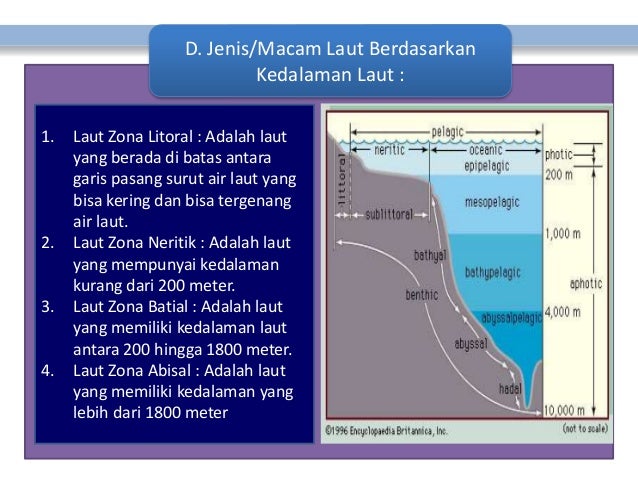 Perairan Laut Dan Potensinya Perairan Laut Dan Potensinya