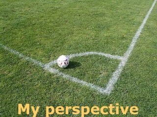 My perspective 