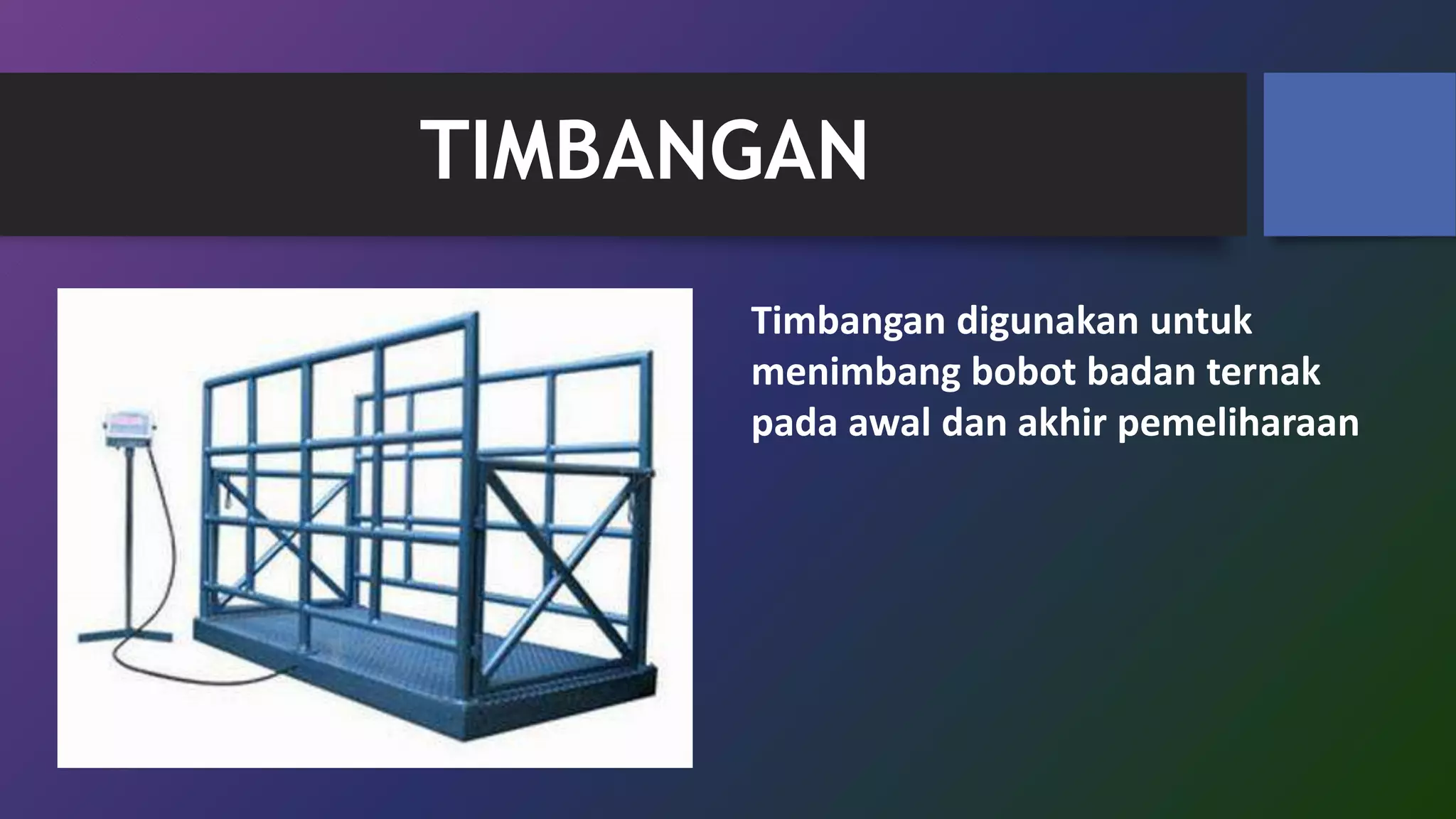 Alat Sapi Peralatan Kandang Sapi Potong | PPTX