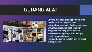 GUDANG ALAT
Gudang alat atau gudang penyimpanan
peralatan di setiap perusahan
peternakan, pasti ada. Gudang alat pada
umumnya dibangun tidak jauh dari
bangunan kandang, karena untuk
mempermudah pekerja atau petugas
untuk mengambil dan
mengembalikanya setelah alat tersebut
dipergunakan.
 