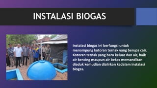INSTALASI BIOGAS
Instalasi biogas ini berfungsi untuk
menampung kotoran ternak yang berupa cair.
Kotoran ternak yang baru keluar dan air, baik
air kencing maupun air bekas memandikan
diaduk kemudian dialirkan kedalam instalasi
biogas.
 