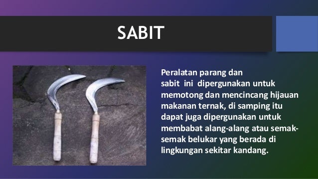 Bagaimana investasi menguntungkan
